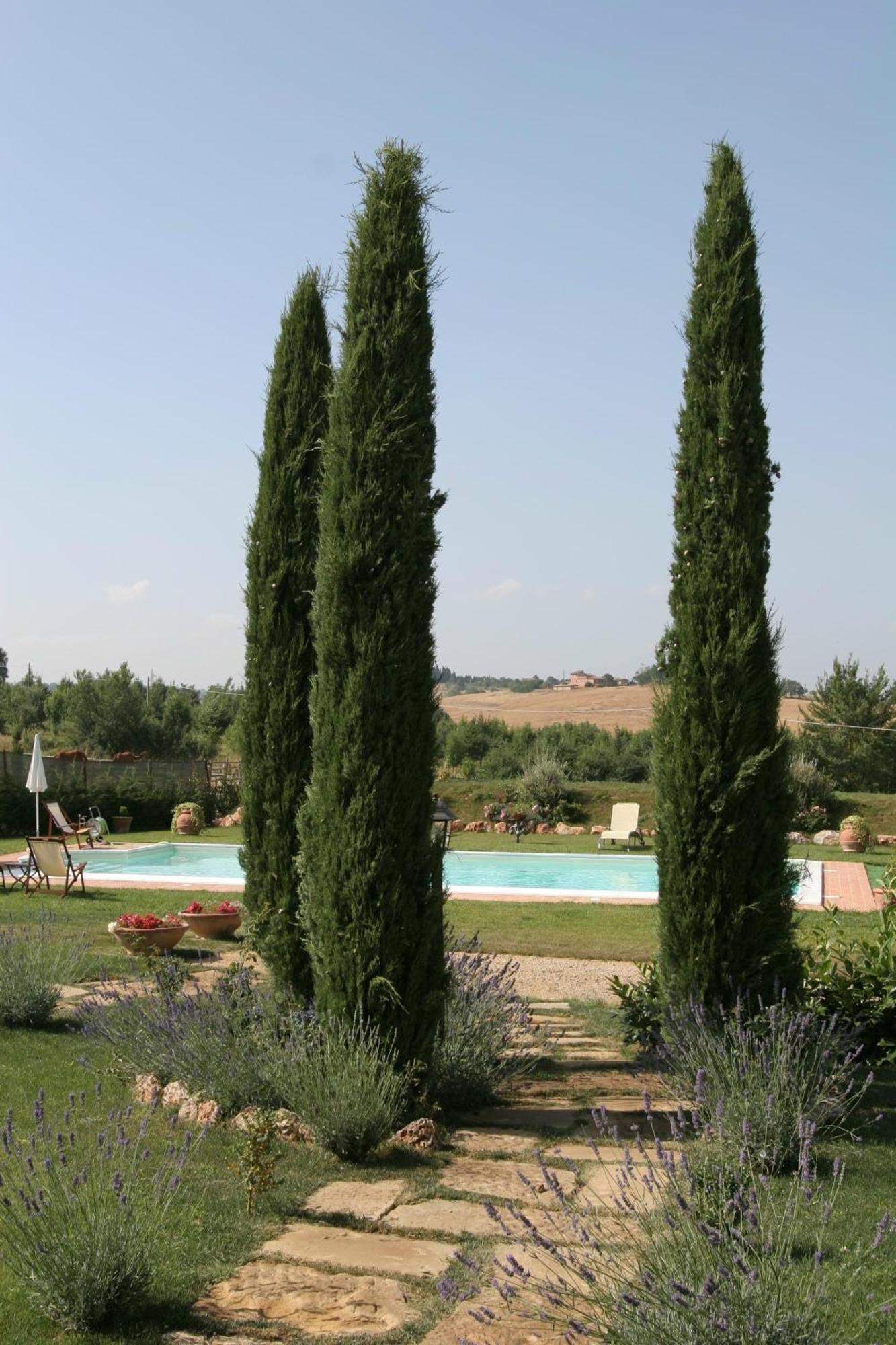 Villa Agriturismo Renaccino Siena Exterior foto